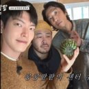 이유팡팡 네이버블로그