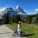 건진1 | 인터라켄에서 피르스트 가는 법 &amp; 사람 1도 없는 인생샷 건진 후기, 액티비티(프로티바이크, 마운틴카트...