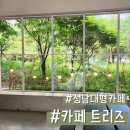 예쁜강아지 | 카페 트리즈 ㅣ 숲 뷰가 예쁜 성남 대형카페 후기