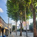 그랜드파크세탁소 이미지