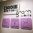 논현한의원 | 그램한의원 논현역다이어트한의원 다이어트한약 후기 베이직환 내돈내산으로 시작한 건강한 감량 기록
