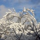 집단시설지구 이미지