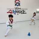 경희대 수청태권도 이미지