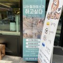필라어트30 | [운동] 장안동 필라테스 필라어트30 후기 :: 초보자 입문자 추천