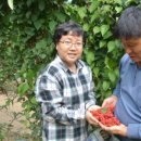 곰밭농장 이미지