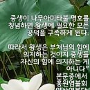 상련정 이미지