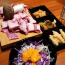고기극찬수영