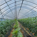 가나안농장2농장 이미지