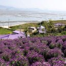 굴다리쉼터 이미지