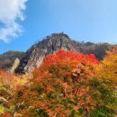 10월 26일 (토) 전북순창 강천산 [전국 최고의 애기단풍] 산행안내 및 예약 이미지