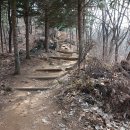 11월17日(日)낙엽밟으며걷고싶은 도덕산,y자형출렁다리트레킹 이미지