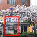 낙성대약국 이미지