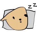 여수포펫 이미지