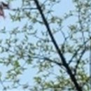 와인치과의원 이미지