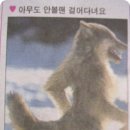 가인노래짱