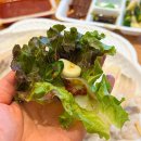 속초관광수산시장 주차장 2 | 속초 회포장 맛집 진미활어센터｜속초관광수산시장 모둠회 포장후기