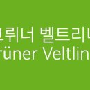 [단일과정] 와인소믈리에 이미지