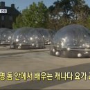숨.요가교실