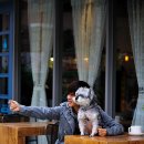 오라버니 이미지