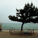 신연교(서면 방면 자전거도로 시작점) | 우리나라 강원도 꼭 가봐야 되는 풍경좋은 여행지로는?
