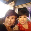 조수경라이브 Daum카페