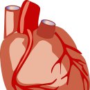 포항시남구44 이미지