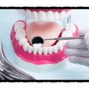 엠케이(MK)의원 이미지