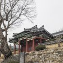 대흥 은행나무길 이미지