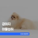 지한동물병원 이미지