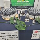 디오동백화장품