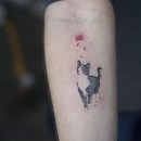 PET사랑 이미지