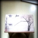 솔버덩