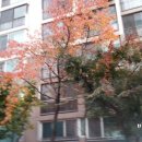 하계역 3번출구 이미지