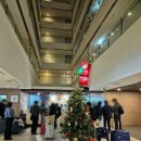 70 | 서귀포 호텔 디너 뷔페 와인무제한 더퍼스트70호텔 후기