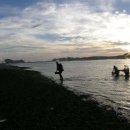 백사장해변 이미지