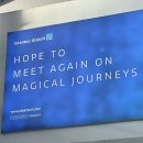 미니스톱 신성행복점 | 교토 여행🇯🇵 (11/19~11/22): 인생은 지는 게 아니라 단풍 드는 것