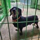 안성면063 이미지