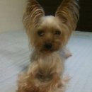 인헌동-27 이미지