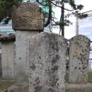 남양도호부 선정비 이미지