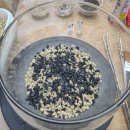 (원데이) 나만의 작은 숲, 테라리움 이미지