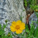 [야간]단전호흡 이미지