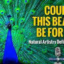 Natural Artistry Defies Darwinism 이미지