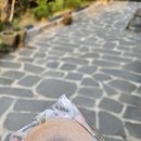 난설헌로 이미지