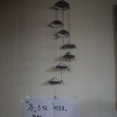 김삿갓다방 이미지