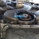 세존카25시 이미지