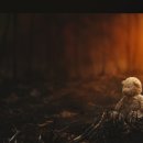 힐링세탁소 이미지