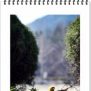 동명초등학교 이미지