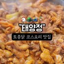 태양정 이미지
