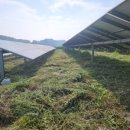 무성햇빛발전소 이미지