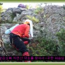 자연산약초 이미지